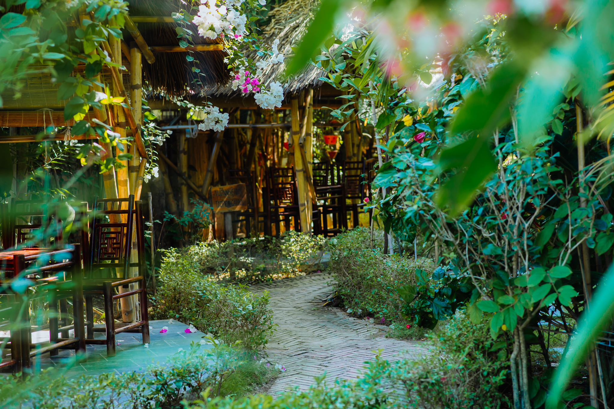 Phòng Tiêu chuẩn 1 giường đôi hoặc 2 giường đơn